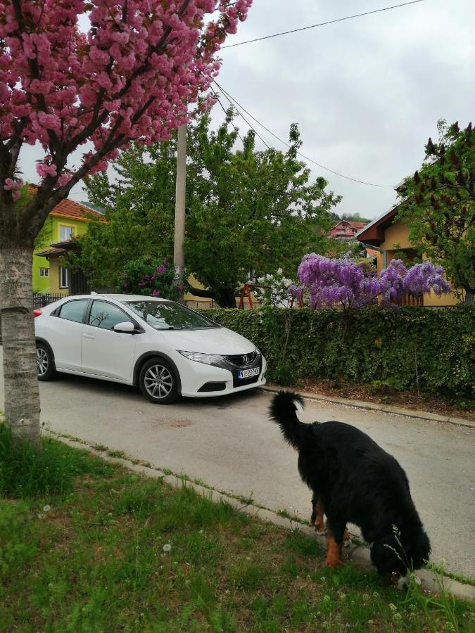 Pansion Velickovic * Niska Banja