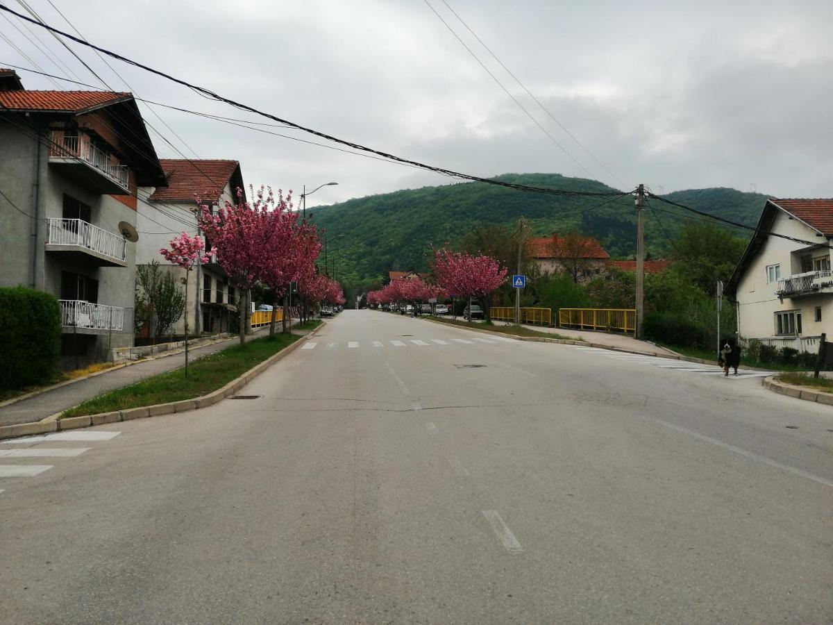 Pansion Velickovic Apartment Niska Banja