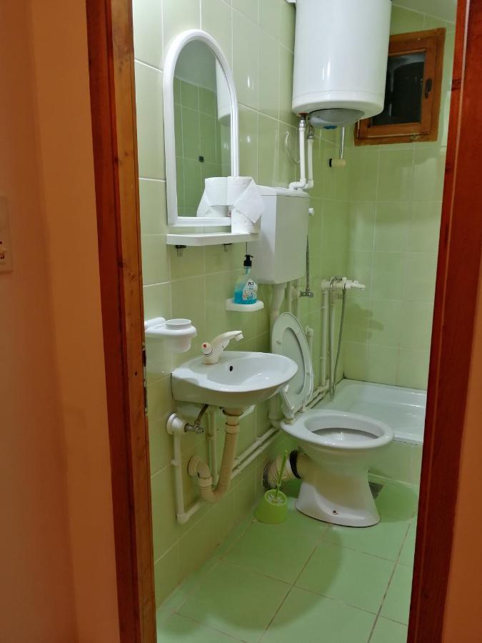 Apartment Pansion Velickovic *